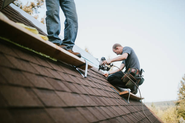 Quick and Trustworthy Emergency Roof Repair Services in Bishopville, SC